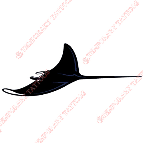 Tampa Bay Rays Customize Temporary Tattoos Stickers NO.1938